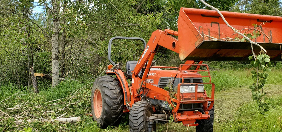 An orange tractor in a field with a tree limb hanging on the loader bucket.