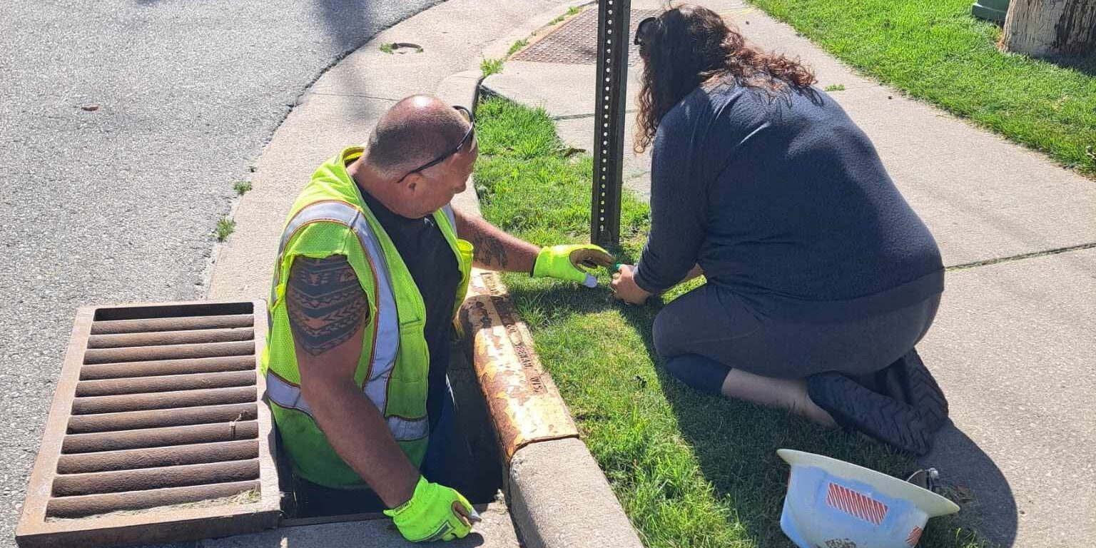 A We Energies employee standing in a storm drain hands ducklings to a woman kneeling on a sidewalk .