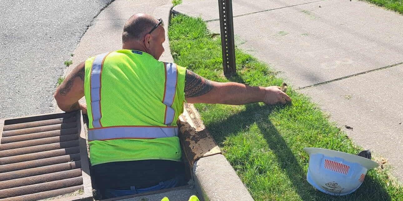 A We Energies employee places a duckling on a strip of grass next to a sidewalk.